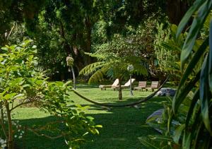 a hammock in a park with benches and trees at Quintinha Sao Joao Hotel & Spa in Funchal