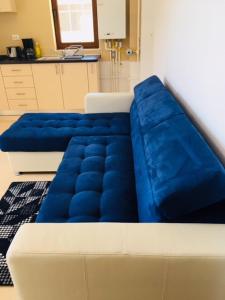 ママイア・ノルドにあるAriana Apartmentの- 青と白のソファ