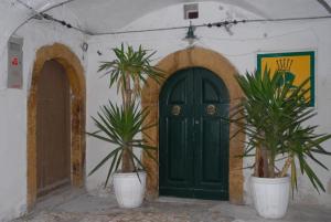 a green door with two palm trees in front of it at Residence Ducale in Rodi Garganico