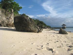 a beach with rocks and footprints in the sand at Dolphin House Resort Moalboal in Moalboal