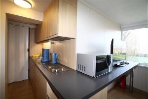 Kuchyň nebo kuchyňský kout v ubytování Studio Dahlia 2p