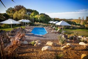 A view of the pool at Cultivar Boutique Hotel or nearby