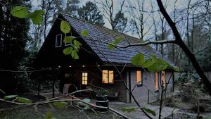 ein Haus mit einem schwarzen Dach im Wald in der Unterkunft Villa Franka in Norg