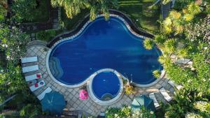 Una vista aérea de una piscina con palmeras. en Hotel Suma, en Lovina
