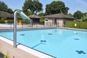 a large swimming pool with a dolphin stencil on it at Wilbrink 6-8 pers. bungalow in Voorthuizen