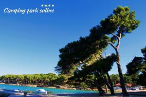 Fotografie z fotogalerie ubytování Mobile home Morska Vila v destinaci Biograd na Moru
