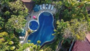 Piscina en o cerca de Hotel Suma