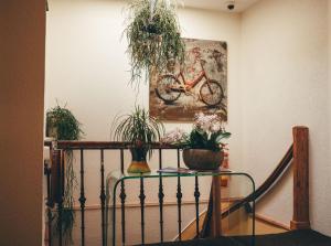 Fotografie z fotogalerie ubytování Jupiter Hotel v destinaci Amsterdam