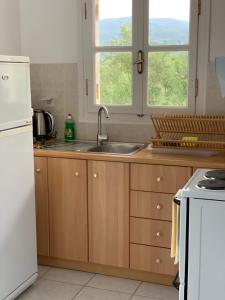 A kitchen or kitchenette at Anastasios Olive Garden Apartments