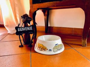 una ciotola per cani seduta sul pavimento accanto a una macchina fotografica di Historical J&D a Firenze