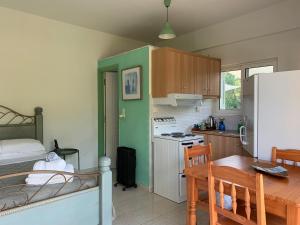 A kitchen or kitchenette at Anastasios Olive Garden Apartments