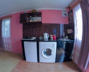 a kitchen with a washer and a washing machine at Galavani in Tbilisi City