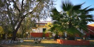 Zahrada ubytování B&B Uliveto del Gargano