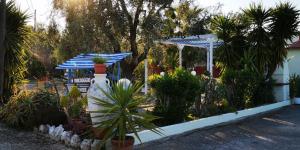 Zahrada ubytování B&B Uliveto del Gargano