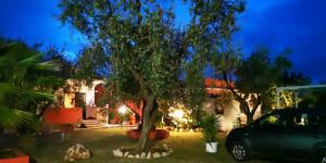 Zahrada ubytování B&B Uliveto del Gargano