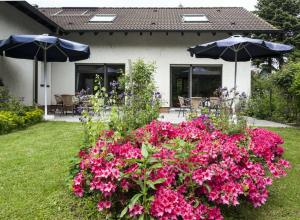 a garden with pink flowers and an umbrella at Ferienwohnung Putbus in Güstelitz