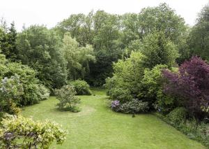 a garden with trees and bushes and grass at Ferienwohnung Putbus in Güstelitz