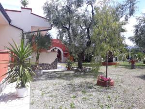Zahrada ubytování B&B Uliveto del Gargano
