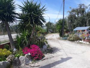 Zahrada ubytování B&B Uliveto del Gargano