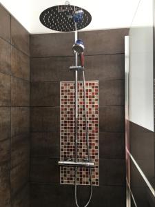 a shower with a shower head in a bathroom at La Palmeraie in Vannes +53 photos