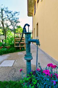 a green water fountain in a garden with flowers at Welcome Traveller DIVINE CÉCILE in Garda