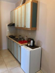 Kuchyň nebo kuchyňský kout v ubytování Petros Rooms & Apartments