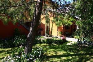 a house with a tree and flowers in the yard at Garden FuoriRotta in San Giovanni Teatino