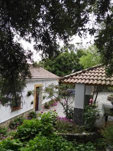 Vonkajšia záhrada v ubytovaní CASA EL CERRO