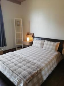 um quarto com uma cama com um cobertor xadrez em Maison de Maitre II em Availles-Limouzine