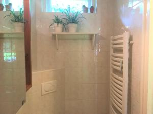 un bagno con doccia e piante sugli scaffali di Cosy House a Otterlo