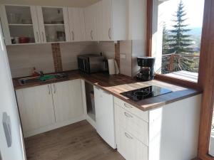 Kuchyňa alebo kuchynka v ubytovaní Apartmány 27