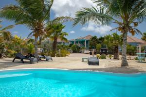 a swimming pool with chairs and palm trees at Ocean Blue Bonaire in Kralendijk