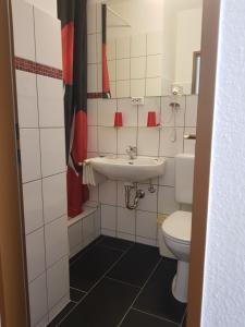 een badkamer met een wastafel en een toilet bij Panorama Hotel Pension Frohnau in Bad Sachsa
