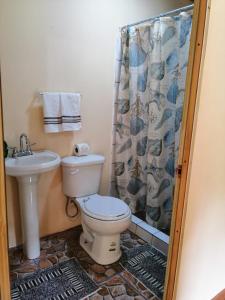 uma casa de banho com um WC e um lavatório em Garden of Heliconias Lodge em Drake