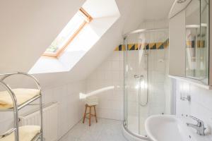 La salle de bains est pourvue d'une douche et d'un lavabo. dans l'établissement Bio-Hof Windhaber, à Stubenberg