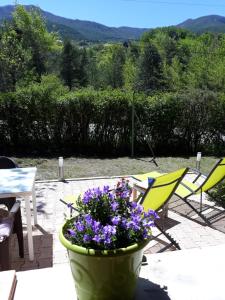 a pot of flowers sitting on a patio with chairs at Studio privatif in Guillestre