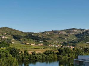 Foto de la galería de PMDOUROVALLEY en Peso da Régua