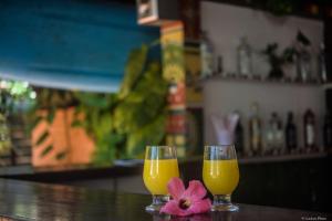 Twee glazen sinaasappelsap en een roze bloem op het aanrecht. bij Barracuda Eco Resort Búzios in Búzios