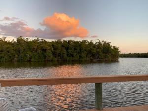 a view from a bench overlooking a body of water at River Wilderness Waterfront Cabins in Everglades City