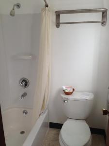 a bathroom with a toilet and a shower at Dutch Cup Motel in Sultan