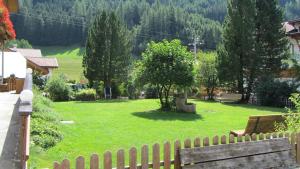 Zahrada ubytování Pension Tannenhof