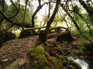 Foto dalla galleria di Casa de piedra El Colibrí a Guasca Altre 8 foto