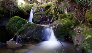un ruscello d'acqua con rocce in una foresta di Casa de piedra El Colibrí a Guasca