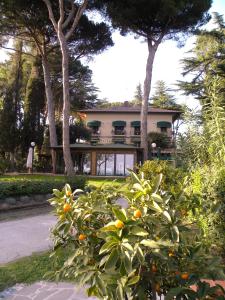 a house with an orange tree in front of it at Hotel Kursaal in Passignano sul Trasimeno