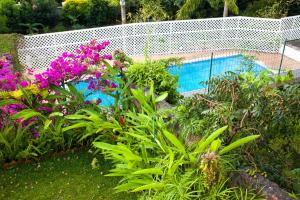 un jardin avec des fleurs violettes et une piscine dans l'établissement Vue Lagon et MOOREA, à Taapuna