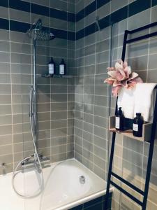 a bathroom with a bath tub with a shower at La Corte dell'Ulivo in Locarno