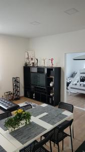 TV a/nebo společenská místnost v ubytování Apartmány Tylovice