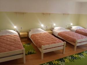 eine Gruppe von 3 Betten in einem Zimmer in der Unterkunft Gostilna Tratnik in Zoll