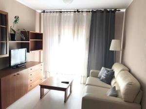 TV a/nebo společenská místnost v ubytování Pisos Centro Ribadesella