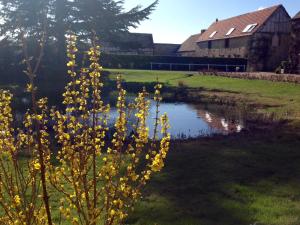 une plante avec des fleurs jaunes à côté d'une masse d'eau dans l'établissement Résidences Le Clos du Manoir - Self Cooking, à Gauciel